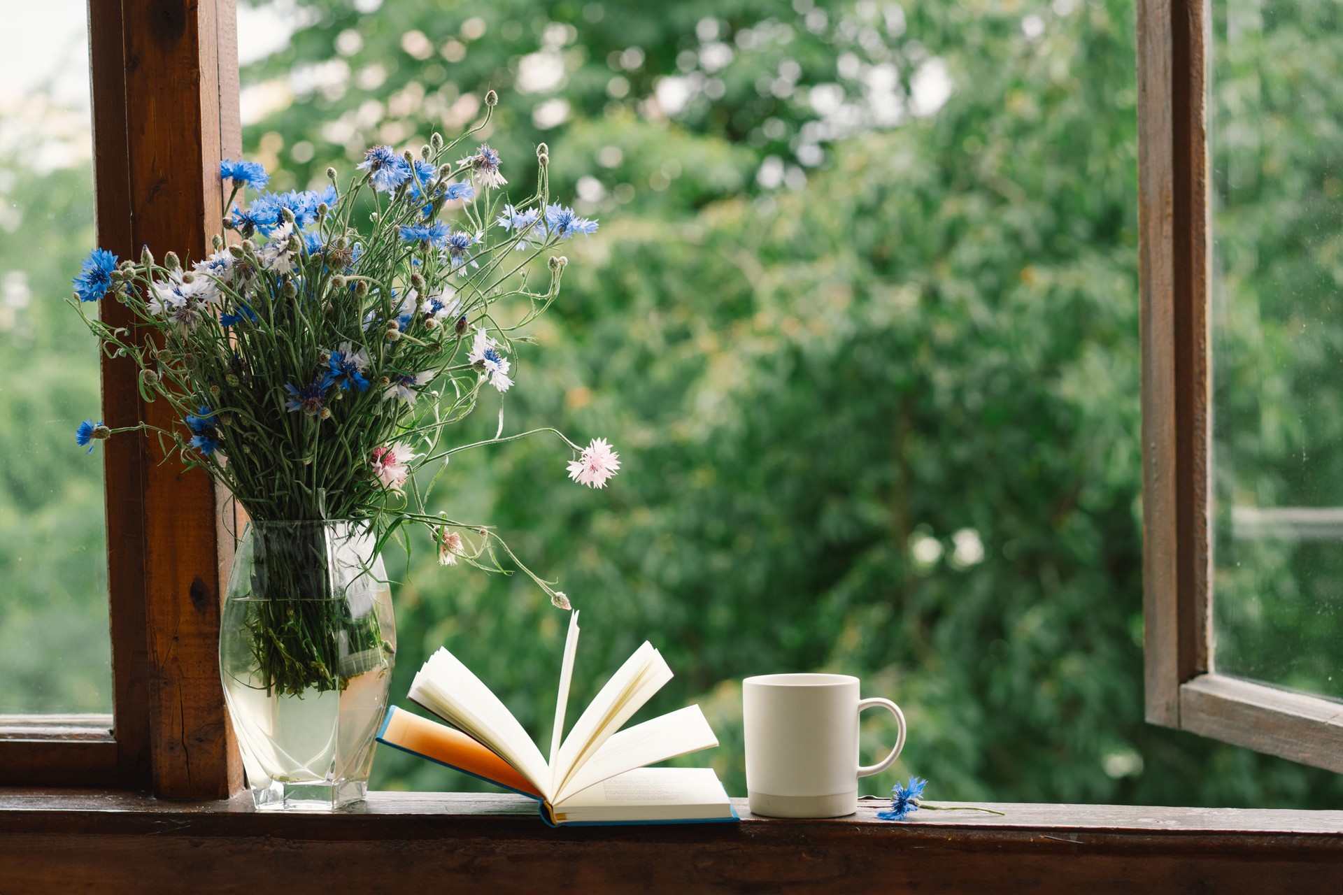 A bouquet of cornflowers and a book on the windowsill